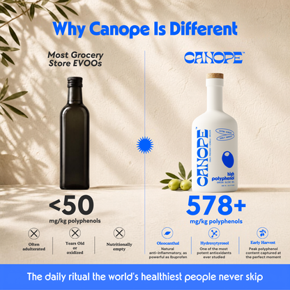 Premium High-Polyphenol Extra Virgin Olive Oil
